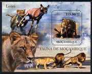 Mozambique 2011 Lions perf m/sheet containing octagonal shaped value unmounted mint