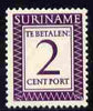 Surinam 1956 Postage Due 2c deep lilac unmounted mint, SG D437 (Blocks available price pro-rata)