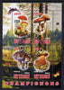 Congo 2012 Mushrooms #2 perf sheetlet containing 4 values fine cto used