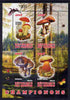 Congo 2012 Mushrooms #2 perf sheetlet containing 4 values unmounted mint