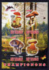 Congo 2012 Mushrooms #2 imperf sheetlet containing 4 values unmounted mint