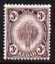Malaya - Kedah 1919-21 Sheaf of Rice 3c deep purple MCA unmounted mint SG19