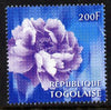 Togo 2009 China World Stamp Exhibition - 200F Peony unmounted mint