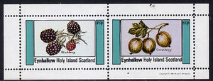 Eynhallow 1981 Fruit (Blackberry & Gooseberry) perf,set of 2 values (40p & 60p) unmounted mint