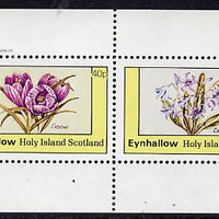 Eynhallow 1982 Flowers #06 (Crocus & Chionodoxa) perf,set of 2 values (40p & 60p) unmounted mint