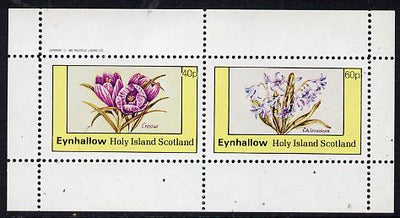Eynhallow 1982 Flowers #06 (Crocus & Chionodoxa) perf,set of 2 values (40p & 60p) unmounted mint