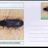 Chartonia (Fantasy) Insects - Furniture Beetle (Anobium punctatum) postal stationery card unused and fine
