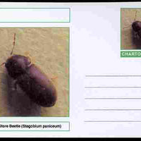 Chartonia (Fantasy) Insects - Drug Store Beetle (Stegobium paniceum) postal stationery card unused and fine