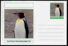 Chartonia (Fantasy) Birds - King Penguin (Aptenodytes patagonicus) postal stationery card unused and fine