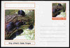 Chartonia (Fantasy) Fungi - King Alfred's Cakes Fungus postal stationery card unused and fine