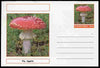 Chartonia (Fantasy) Fungi - Fly Agaric postal stationery card unused and fine