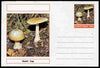 Chartonia (Fantasy) Fungi - Death Cap postal stationery card unused and fine