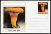 Chartonia (Fantasy) Fungi - Golden-gilled Bolete postal stationery card unused and fine