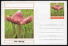 Chartonia (Fantasy) Fungi - Pink Waxcap postal stationery card unused and fine