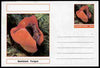 Chartonia (Fantasy) Fungi - Beefsteak Fungus postal stationery card unused and fine