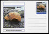 Chartonia (Fantasy) Marine Life - Sea Lemon (Archidoris pseudoargus) postal stationery card unused and fine