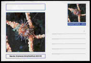 Chartonia (Fantasy) Marine Life - Sea-fan Anemone (Amphianthus dohrnii) postal stationery card unused and fine