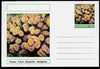 Chartonia (Fantasy) Coral - Flower Coral (Eusmilia fastigiata) postal stationery card unused and fine