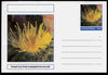 Chartonia (Fantasy) Coral - Sunset Cup Coral (Leptopsammia pruvoti) postal stationery card unused and fine