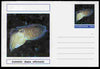 Chartonia (Fantasy) Marine Life - Cuttlefish (Sepia officinalis) postal stationery card unused and fine