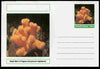 Chartonia (Fantasy) Coral - Dead Man’s Fingers (Alcyonium digitatum) postal stationery card unused and fine