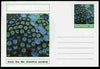 Chartonia (Fantasy) Coral - Green Sea Mat (Zoanthus sociatus) postal stationery card unused and fine