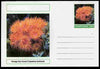 Chartonia (Fantasy) Coral - Orange Sun Coral (Tubastrea faulkneri) postal stationery card unused and fine