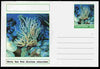 Chartonia (Fantasy) Coral - Warty Sea Rod (Eunicea calyculata) postal stationery card unused and fine