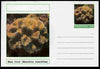 Chartonia (Fantasy) Coral - Maze Coral (Meandrina meandrites) postal stationery card unused and fine