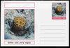 Chartonia (Fantasy) Coral - Golfball Coral (Favia fragum) postal stationery card unused and fine