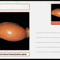 Chartonia (Fantasy) Shells - Elephant’s Snout Volute (Cymbium glans) postal stationery card unused and fine