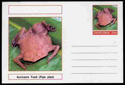 Chartonia (Fantasy) Amphibians - Suriname Toad (Pipa pipa) postal stationery card unused and fine
