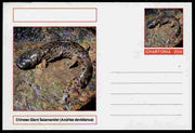 Chartonia (Fantasy) Amphibians - Chinese Giant Salamander (Andrias davidianus) postal stationery card unused and fine