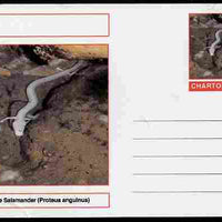 Chartonia (Fantasy) Amphibians - Cave Salamander (Proteus anguinus) postal stationery card unused and fine