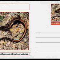 Chartonia (Fantasy) Amphibians - Gold-striped Salamander (Chioglossa lusitanica) postal stationery card unused and fine