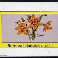 Bernera 1982 Flowers #03 (Daffodil) imperf deluxe sheet (£2 value) unmounted mint