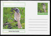 Chartonia (Fantasy) Birds - African Grey Hornbill postal stationery card unused and fine