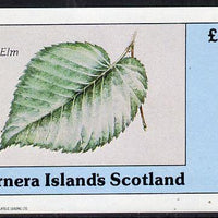 Bernera 1982 Tree Leaves (Elm) imperf deluxe sheet (£2 value) unmounted mint