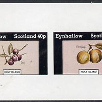 Eynhallow 1982 Fruit (Sloe & Greengage) imperf,set of 2 values (40p & 60p) unmounted mint