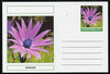 Chartonia (Fantasy) Flowers - Anenome postal stationery card unused and fine