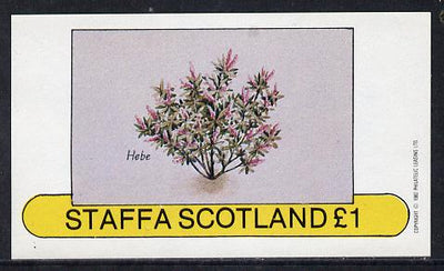 Staffa 1982 Flowers #05 (Hebe) imperf souvenir sheet (£1 value) unmounted mint