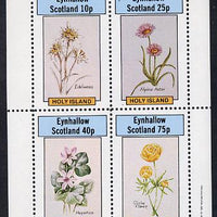 Eynhallow 1981 Flowers #03 (Edelweiss, Alpine Aster, Hepatica & Globe Flower) perf,set of 4 values (10p to 75p) unmounted mint