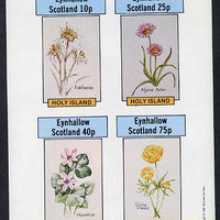 Eynhallow 1981 Flowers #03 (Edelweiss, Alpine Aster, Hepatica & Globe Flower) imperf,set of 4 values (10p to 75p) unmounted mint