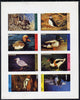 Staffa 1974 Water Birds #01 (Mallard, Puffin, Shelduck, Avocet, etc) imperf,set of 8 values (0.5p to 20p) unmounted mint