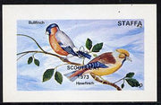 Staffa 1972 Finches opt'd Scouts Day 1973 imperf souvenir sheet (35p value) unmounted mint