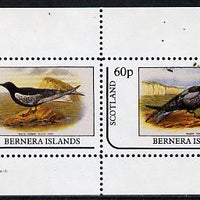 Bernera 1982 Birds #11 (Black Terns) perf,set of 2 values (40p & 60p) unmounted mint