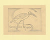Somalia 1959 Water Birds Original artwork rough essay on tracing paper showing bird in 'S' emblem image size 100 x 70 mm as SG 334-339 series (96038)