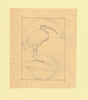 Somalia 1959 Water Birds Original artwork rough essay on tracing paper showing bird in 'S' emblem image size 70 x 100 mm as SG 334-339 series (96040)