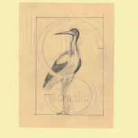 Somalia 1959 Water Birds Original artwork rough essay on tracing paper showing bird in 'S' emblem image size 70 x 100 mm as SG 334-339 series (96041)