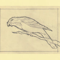 Somalia 1966 Birds Original artwork rough essay on tracing paper probably for the 1966 series image size 140 x 105 mm (96045)